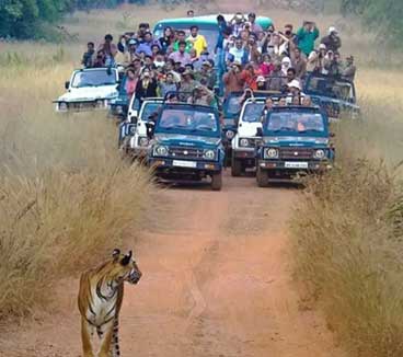 history-tadoba-park