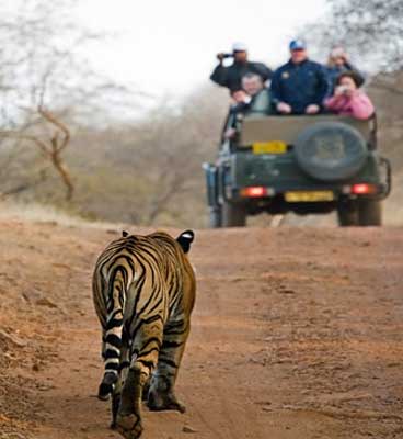 jeep-safar-khutwanda