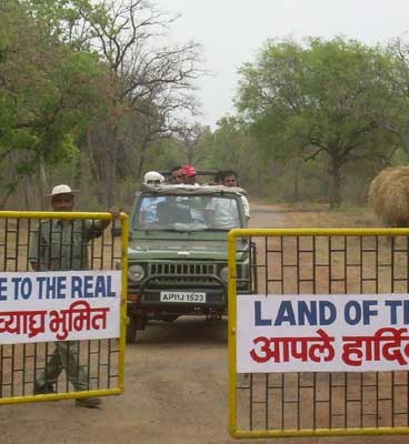 khutwanda-tadoba