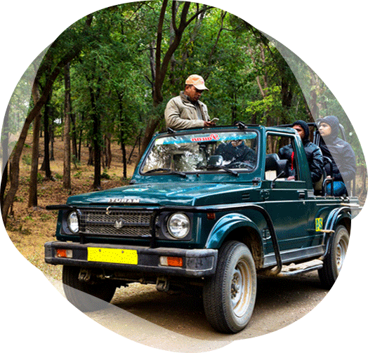 tadoba-jeepsafari