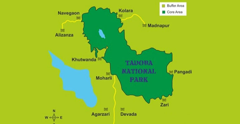 tadoba-zone